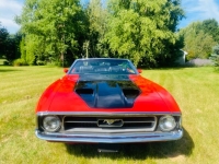 1973 Ford Mustang for sale in Michigan (ID-134180)