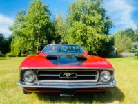 1973 Ford Mustang for sale in Michigan (ID-134180)