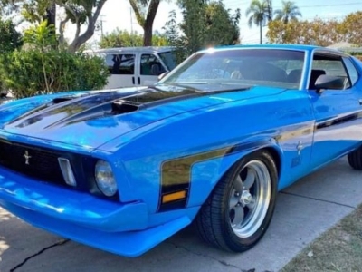 1973 Ford Mustang for sale