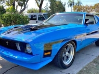 1973 Ford Mustang for sale in Michigan (ID-134939)