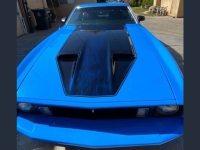 1973 Ford Mustang for sale in Michigan (ID-134939)