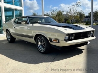 1973 Ford Mustang for sale in Riverhead, New York (ID-135279)