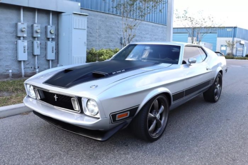 1973 Ford Mustang for sale in Michigan (ID-136714)