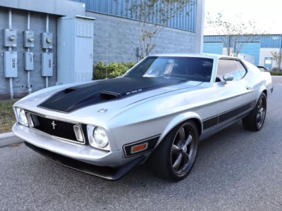 1973 Ford Mustang for sale