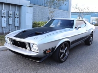 1973 Ford Mustang for sale in Michigan (ID-136714)