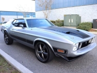 1973 Ford Mustang for sale in Michigan (ID-136714)