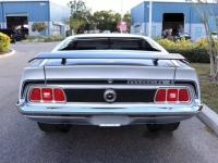 1973 Ford Mustang for sale in Michigan (ID-136714)
