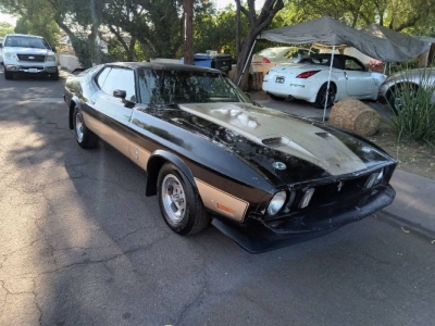 1973 Ford Mustang for sale
