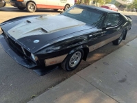 1973 Ford Mustang for sale in Michigan (ID-136741)