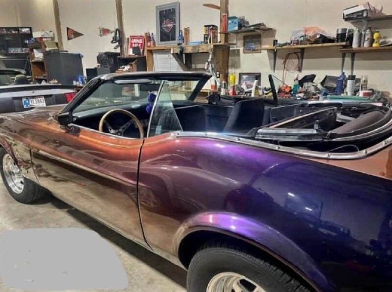 1973 Ford Mustang for sale in Michigan (ID-137540)