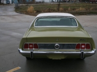 1973 Ford Mustang for sale in Michigan (ID-137712)