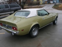 1973 Ford Mustang for sale in Michigan (ID-137712)