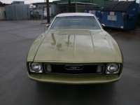 1973 Ford Mustang for sale in Michigan (ID-137712)