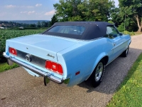 1973 Ford Mustang for sale in Michigan (ID-138998)