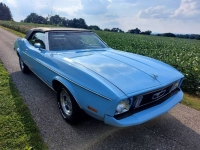 1973 Ford Mustang for sale in Michigan (ID-138998)