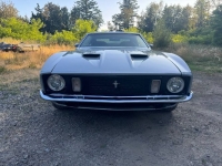 1973 Ford Mustang for sale in Michigan (ID-140338)