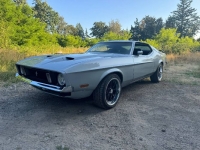 1973 Ford Mustang for sale in Michigan (ID-140338)