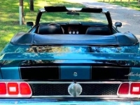 1973 Ford Mustang for sale in Michigan (ID-140379)