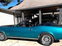1973 Ford Mustang for sale in Michigan (ID-140379)