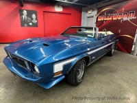 1973 Ford Mustang for sale in Riverhead, New York (ID-141191)
