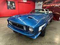 1973 Ford Mustang for sale in Riverhead, New York (ID-141191)