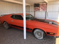 1973 Ford Mustang for sale in Michigan (ID-143827)