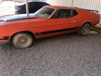 1973 Ford Mustang for sale in Michigan (ID-143827)