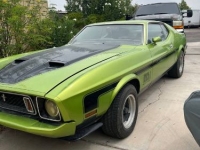 1973 Ford Mustang for sale in Michigan (ID-144631)