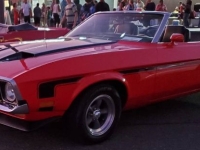 1973 Ford Mustang for sale in Michigan (ID-145195)