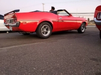 1973 Ford Mustang for sale in Michigan (ID-145195)