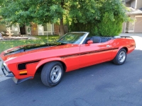 1973 Ford Mustang for sale in Michigan (ID-145195)