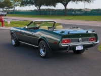 1973 Ford Mustang for sale (ID-145782)