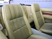 1973 Ford Mustang for sale (ID-145782)