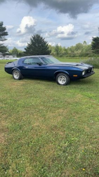 1973 Ford Mustang for sale in Michigan (ID-154959)