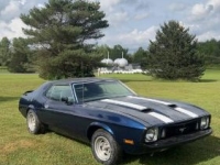 1973 Ford Mustang for sale in Michigan (ID-154959)