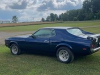 1973 Ford Mustang for sale in Michigan (ID-154959)