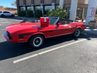 1973 Ford Mustang for sale in Michigan (ID-155094)