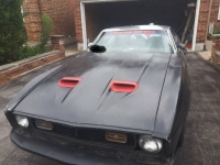 1973 Ford Mustang for sale in Michigan (ID-155711)