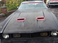 1973 Ford Mustang for sale in Michigan (ID-155711)