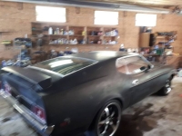 1973 Ford Mustang for sale in Michigan (ID-155711)