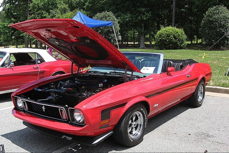1973 Ford Mustang for sale in Michigan (ID-161695)