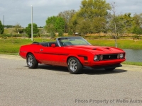 1973 Ford Mustang for sale in Riverhead, New York (ID-162089)