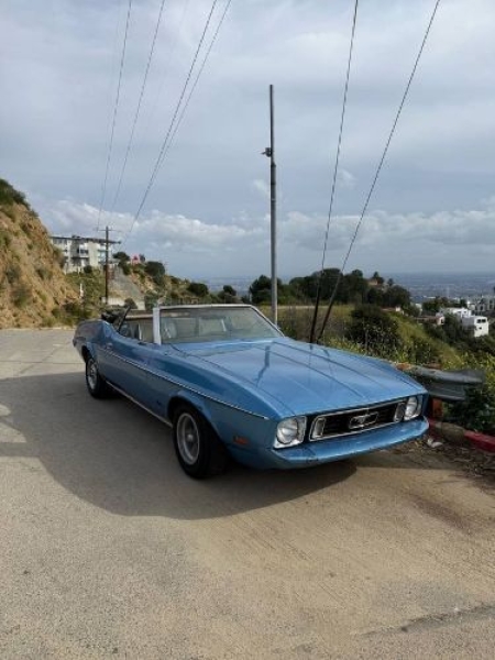 1973 Ford Mustang for sale in Michigan (ID-162202)