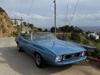 1973 Ford Mustang for sale in Michigan (ID-162202)