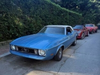 1973 Ford Mustang for sale in Michigan (ID-162202)
