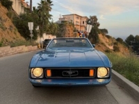 1973 Ford Mustang for sale in Michigan (ID-162202)