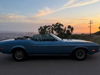 1973 Ford Mustang for sale in Michigan (ID-162202)