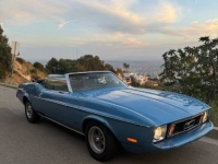 1973 Ford Mustang for sale in Michigan (ID-162202)