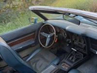 1973 Ford Mustang for sale in Michigan (ID-162202)