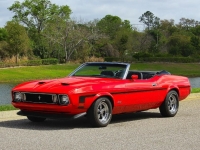 1973 Ford Mustang for sale (ID-162208)